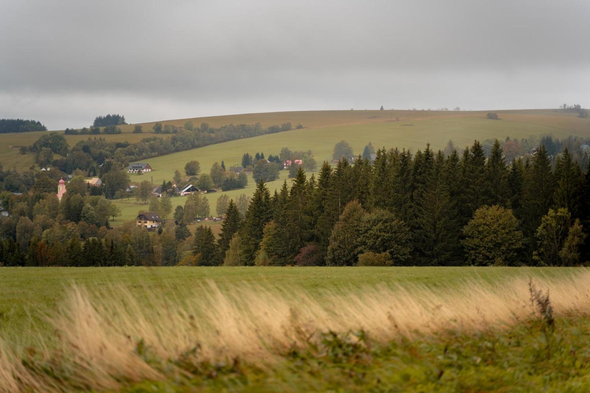 Barth Holiday - Ricky V Orlickych Horach Экстерьер фото